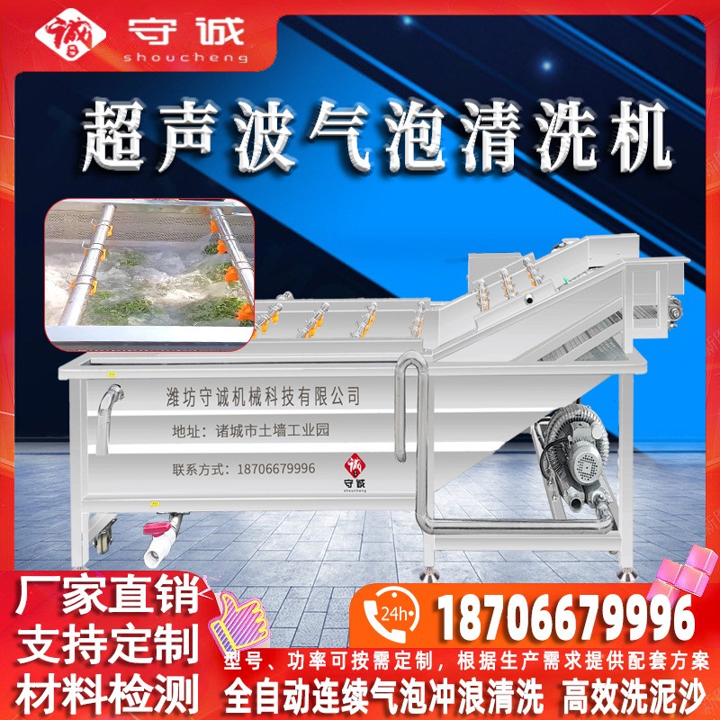 全自動(dòng)蔬菜清洗機(jī) 不銹鋼黃瓜榨菜加工生產(chǎn)線設(shè)備 辣椒氣泡清洗機(jī)