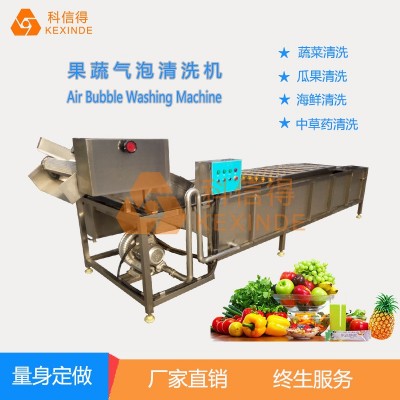 科信得專業生產 果蔬噴淋式氣泡清洗設備 全自動蔬菜清洗機