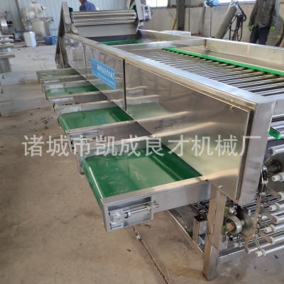 滾杠式櫻桃車厘子葡萄大棗核桃分選機 廠家直銷