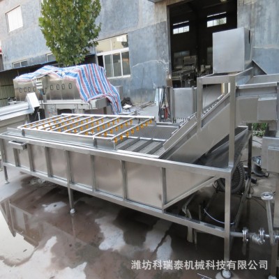 香菇木耳氣泡清洗機蘋果橘子果蔬清洗機清洗解凍冷卻線