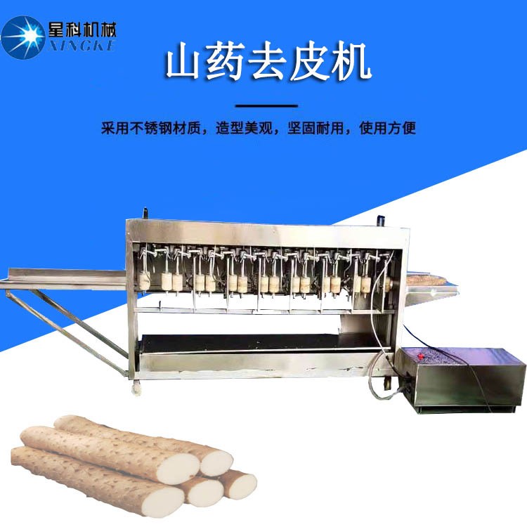 供應(yīng)胡蘿卜去皮機(jī) 商用山藥清潔清洗削皮機(jī) 全自動(dòng)萵筍刮皮機(jī)