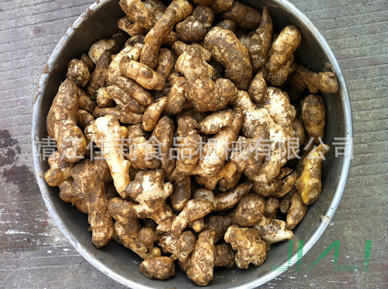 滾筒清洗機(jī)（生姜原料）