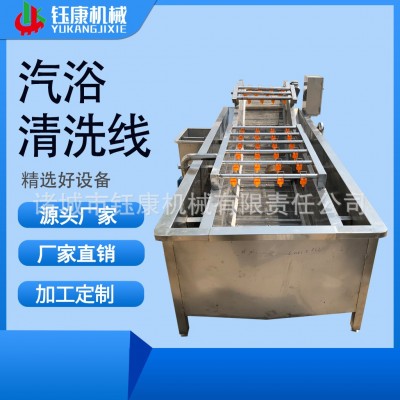 蔬菜清洗線 3米果蔬氣泡清洗線生產(chǎn)廠家 定制臭氧果蔬清洗生產(chǎn)線