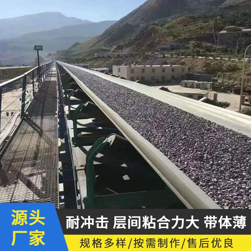 廠家供應尼龍橡膠輸送帶尼龍輸送帶運輸機器傳送帶大傾角輸送帶