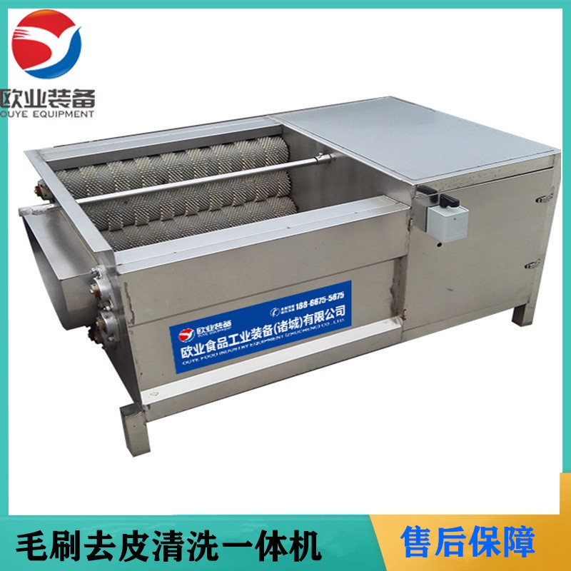 歐業毛刷清洗機 芋頭去皮機 全自動小型蓮藕脫皮機