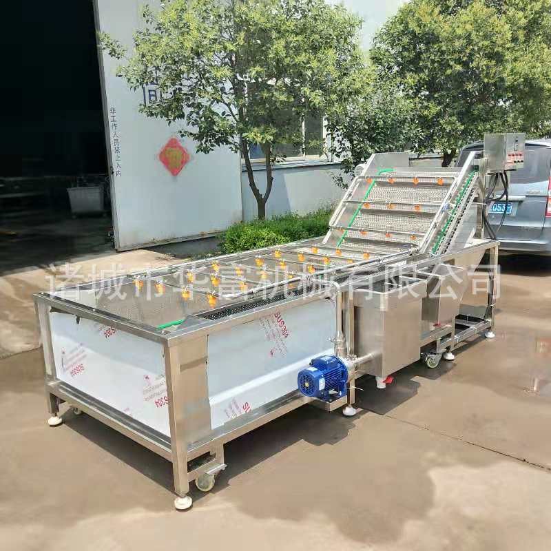 商用果蔬網帶氣泡清洗機 板栗堅果加工去雜設備 噴淋式凈菜流水線
