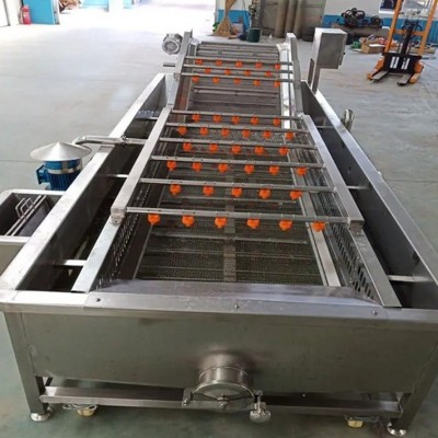 果蔬氣泡清洗機(jī) 水果蔬菜自動(dòng)噴淋清洗機(jī) 清洗漂燙冷卻風(fēng)干流水線