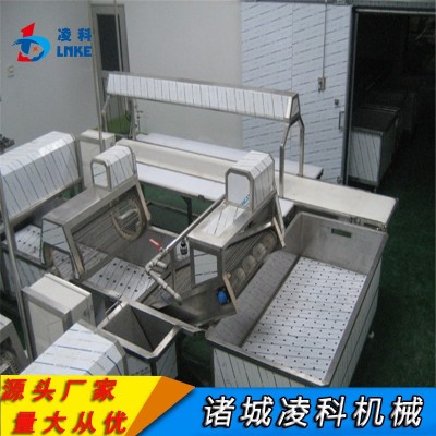 大型果蔬氣泡清洗機(jī)商用酸菜全套加工設(shè)備全自動(dòng)清洗加工流水線