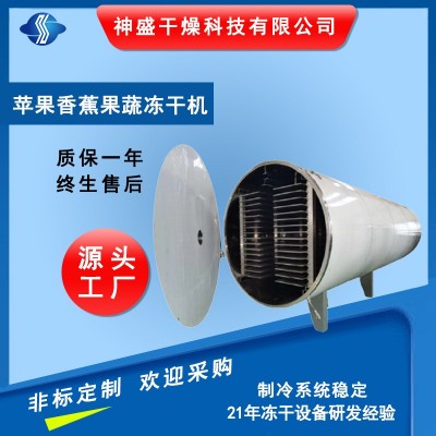 廠家供應(yīng)蘋果凍干機香蕉梨子凍干機 檸檬果蔬凍干機（5-250平方）