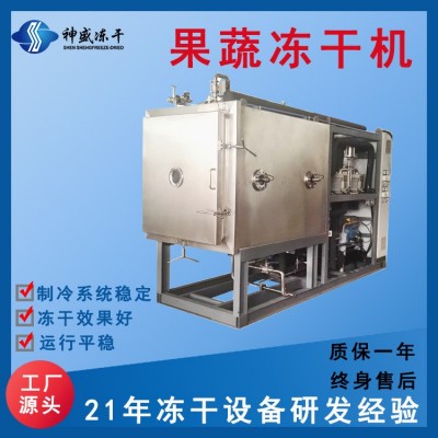 現(xiàn)貨供應(yīng)大型商用果蔬食品凍干機 5-250平海鮮肉類真空冷凍干燥機
