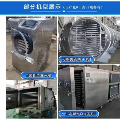 商用凍干機大中小型食品果蔬草藥真空凍干設備低溫式真空冷凍干燥