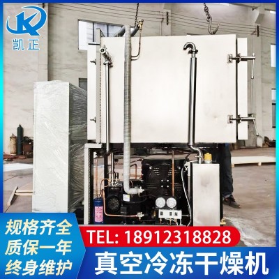 食品果蔬凍干機(jī) 自動水果片冷凍干燥機(jī) 低溫真空冷凍干燥機(jī)