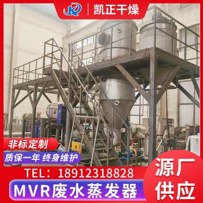 氯化鈉廢水蒸發(fā)器,氯化銨污水蒸發(fā)結(jié)晶器,硫酸鈉廢液蒸發(fā)濃縮器