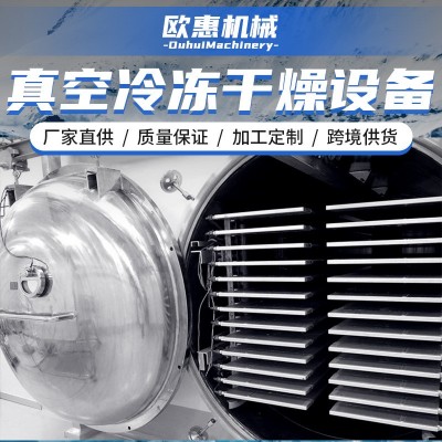 加工定制 水果蔬菜真空凍干機金銀花凍干設備魚類冷凍真空干燥機