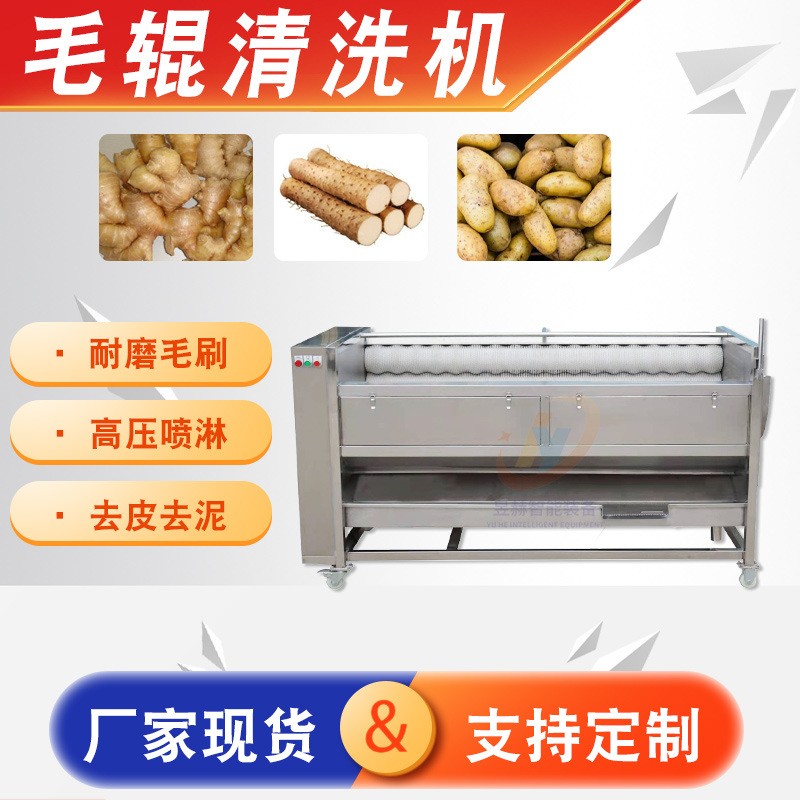 全自動大型蔬菜生姜土豆清洗去皮設備 海蠣子生蠔去泥毛輥清洗機