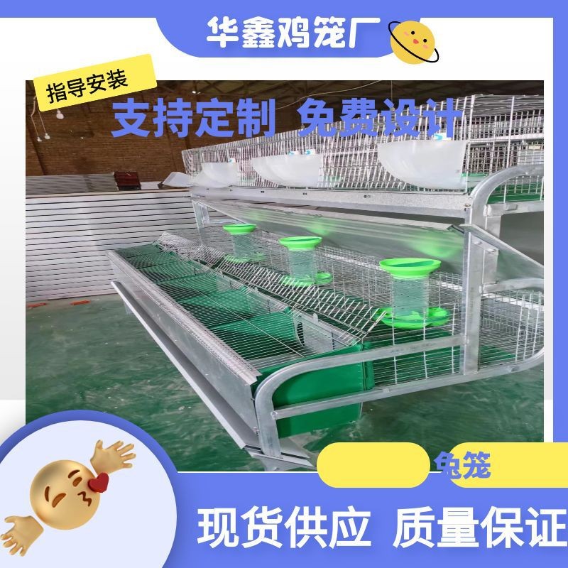 自動清糞養殖兔籠大型養殖場自動化兔子養殖設備 熱鍍鋅字母兔籠
