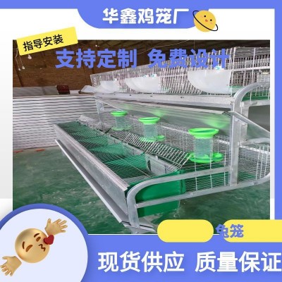 自動清糞養殖兔籠大型養殖場自動化兔子養殖設備 熱鍍鋅字母兔籠