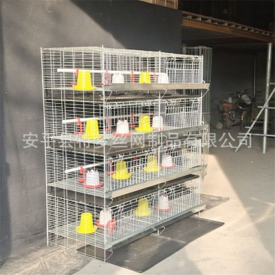 雛雞籠 加粗加密彈簧門育雛籠 養殖小雞籠 四層8門立式小雞籠
