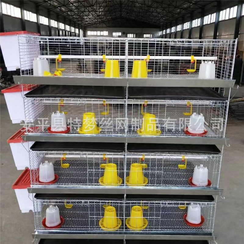 四層八門立式雛雞籠 育雛雞籠 70*70大空間養(yǎng)小雞籠