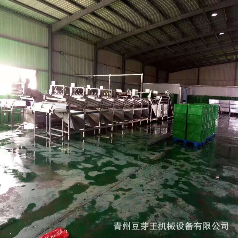 綠豆芽清洗機(jī)