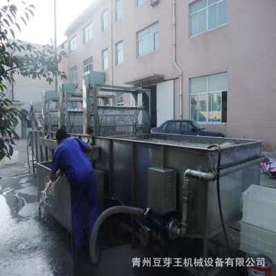 省人工豆芽清洗機 綠豆芽加工設備清洗機 綠豆芽清洗生產流水線