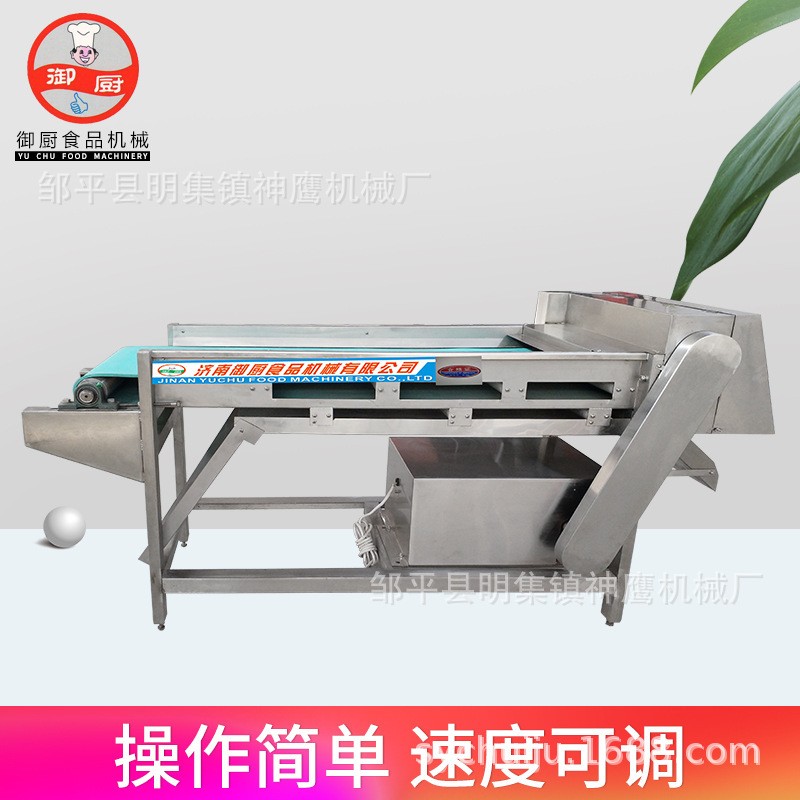 廠家直供商用蘑菇切片機 輸送帶式滾刀切菜機 蘑菇鮮海帶切絲機