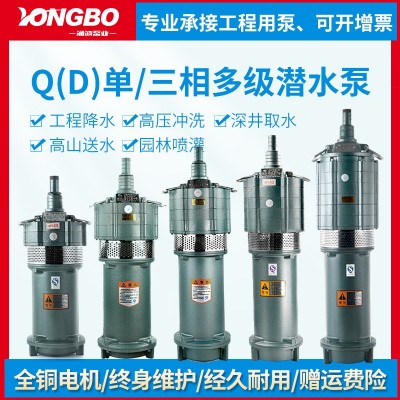 QD多級潛水泵高揚(yáng)程220v抽水泵農(nóng)用灌溉高壓小老鼠水泵380v降水