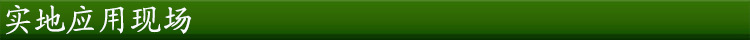實(shí)地應(yīng)用現(xiàn)場(chǎng)