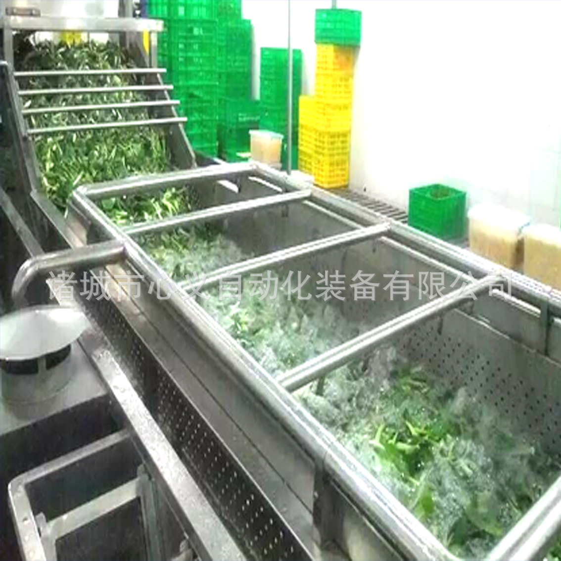 蔬菜水果清洗機  1