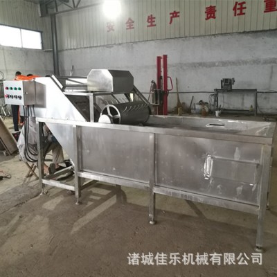 全自動蔬菜清洗機 果蔬海帶清洗機 氣泡清洗設備 氣泡清洗機