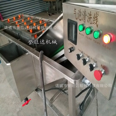 蘋果梨子橙子清洗風(fēng)干設(shè)備 山竹去螞蟻氣泡清洗機(jī) 高壓噴淋清洗機(jī)