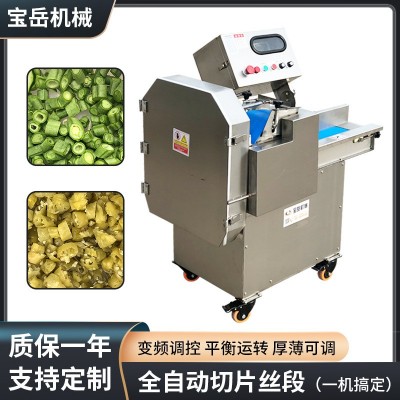 根莖類蔬菜類切片切絲機(jī)柜式商用切絲機(jī)大功率大口徑帶面板切丁機(jī)