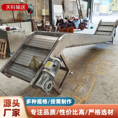 鏈板提升機(jī)廠家直供 小型電動(dòng)斗式上料機(jī)流水線 鏈板式爬坡提升機(jī)