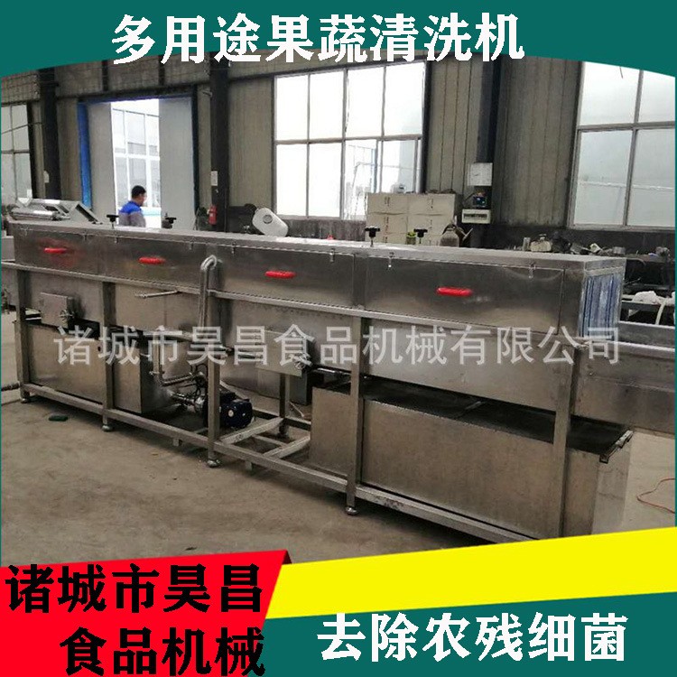 果蔬清洗機商用 爆款中藥材高壓噴淋旋流氣泡 多功能節能高效清洗