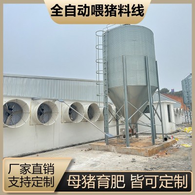 豬場全自動料線 養(yǎng)豬喂料設備 豬場養(yǎng)殖設備 塞盤絞龍料塔配件料