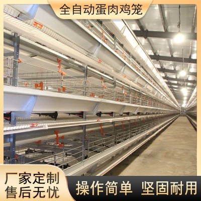 大層疊蛋雞籠養(yǎng)雞設備加密加粗全自動化養(yǎng)殖籠具熱鍍鋅蛋雞籠