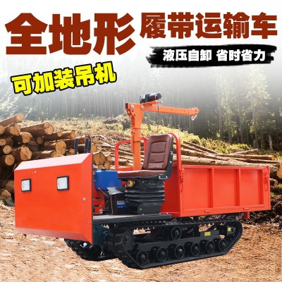 爬山虎履帶運(yùn)輸車 小型山地全地形運(yùn)輸車 果園農(nóng)用山地履帶運(yùn)輸車