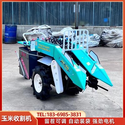 小型玉米收割機 單壟棒子收貨機柴油收玉米機器 輪距可調(diào)