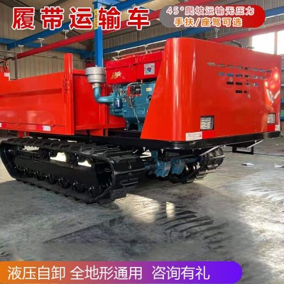 履帶運(yùn)輸車(chē)大馬力液壓自卸爬坡王山地叢林全地形通用家用履帶車(chē)