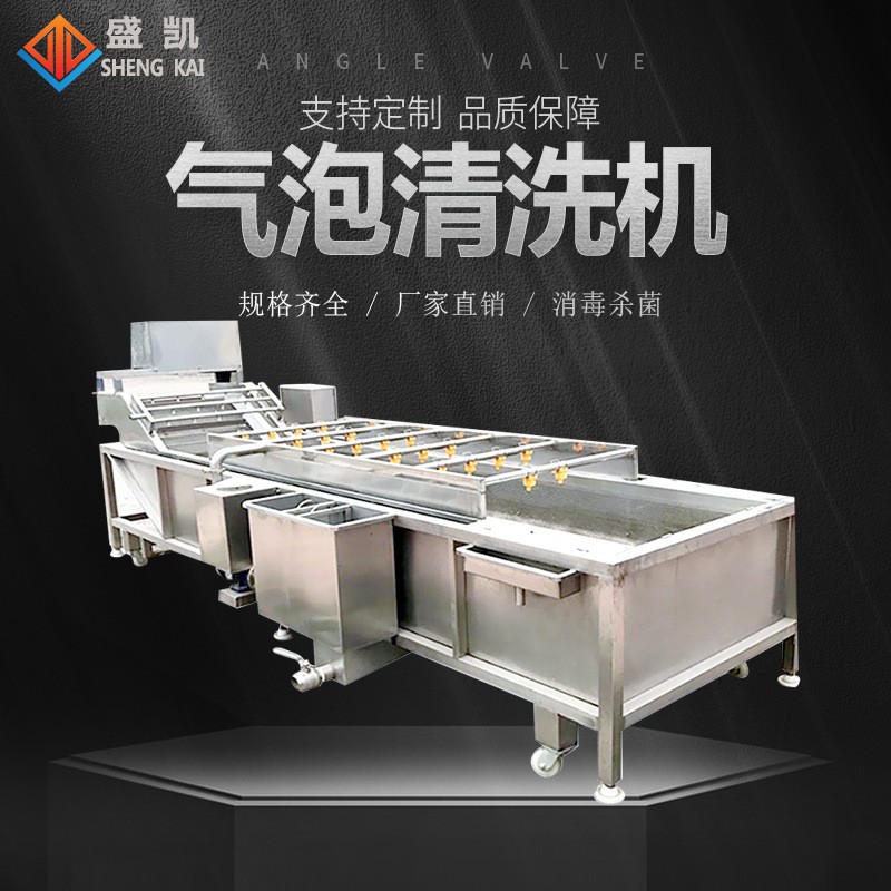 中藥材氣泡清洗機(jī)凈菜加工設(shè)備水果蔬菜辣椒清洗 萬(wàn)能氣泡 清洗機(jī)