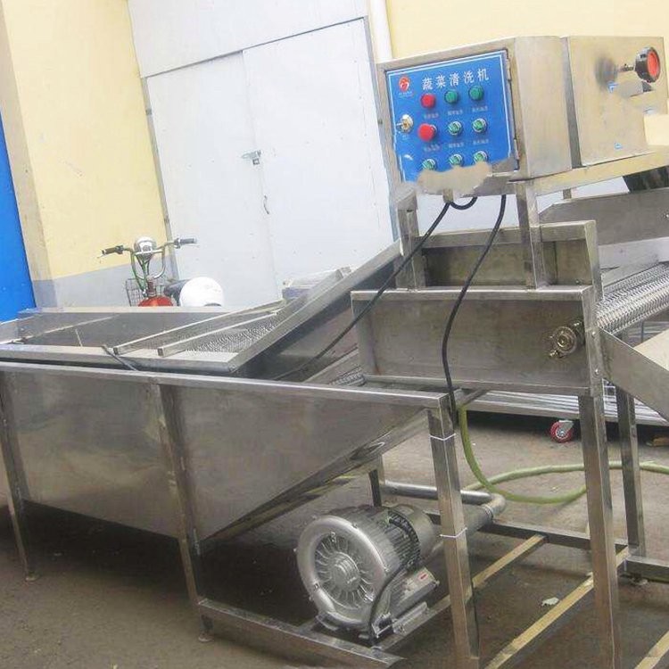 高壓氣泡水果清洗設備 商用洗菜機食品去污清洗機