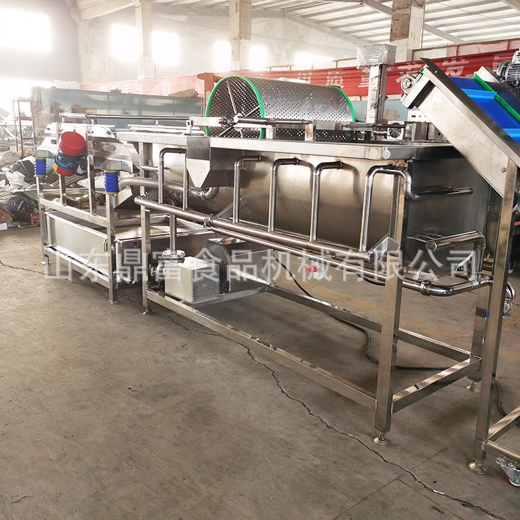 廠家自產大型鼓泡旋流水式大型洗菜機 供應蔬果清洗機 渦流洗菜機