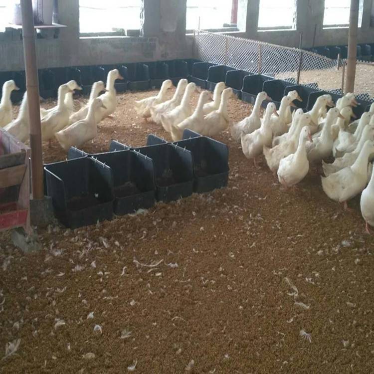 無底鴨蛋窩 鴨子生蛋筐 黑色加厚鴨蛋窩 種鴨產蛋窩批發零售