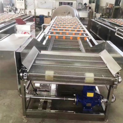 大型蔬菜清洗機 多功能全自動果蔬噴淋式洗菜機