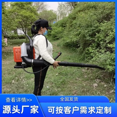 廠家生產批發大功率背負道路吹風機 風力滅火機森林滅火機吹雪機