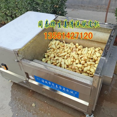 毛刷輥老姜去皮機(jī) 生姜清洗脫皮機(jī) 洗姜機(jī) 果蔬清洗去皮毛刷機(jī)