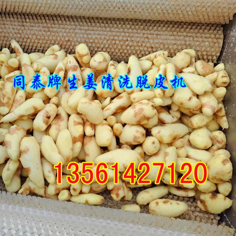 生姜脫皮機3