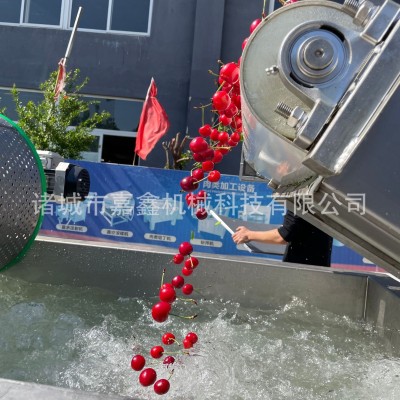 嘉鑫生產漩流芹菜段清洗機 多功能菜椒塊渦流清洗震動瀝水一體機