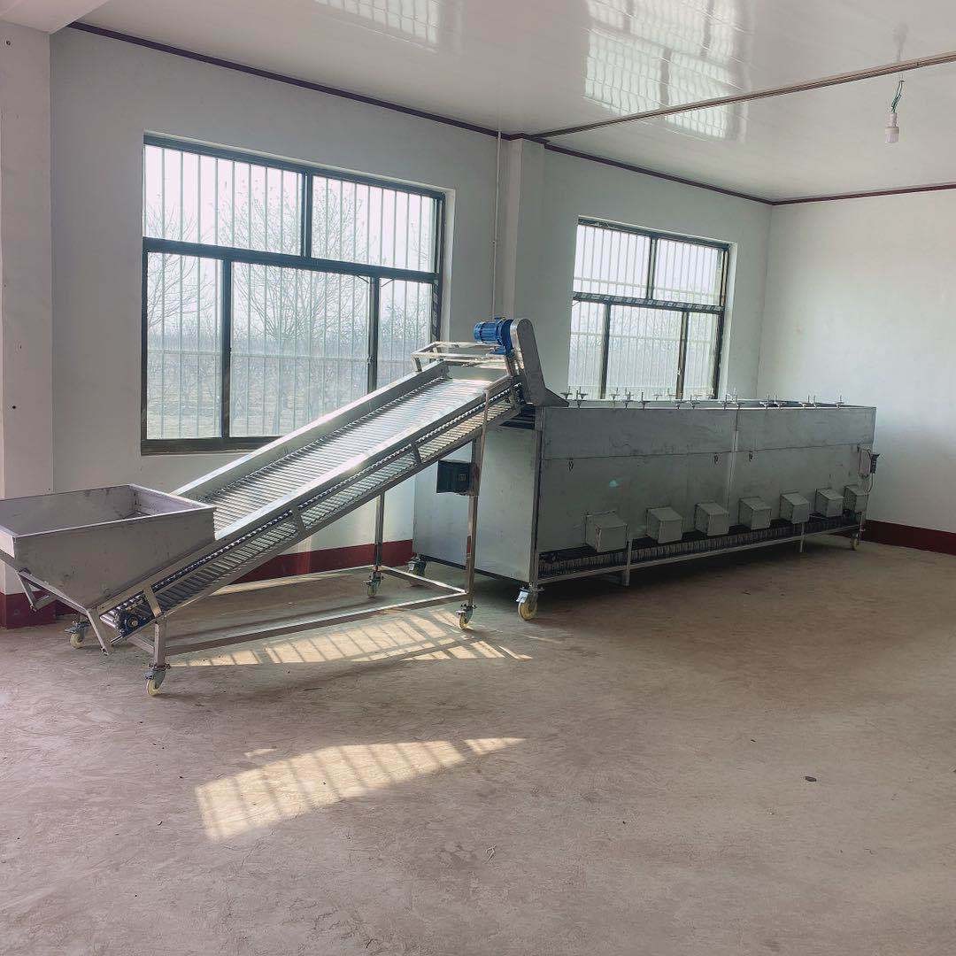 圣女果滾杠分級機輥杠 分級均勻 不傷表皮 廠銷