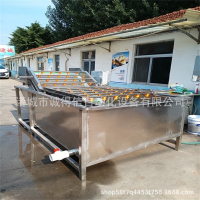 源頭廠家供應楊梅黃桃氣泡清洗機 全自動高壓噴淋清洗機